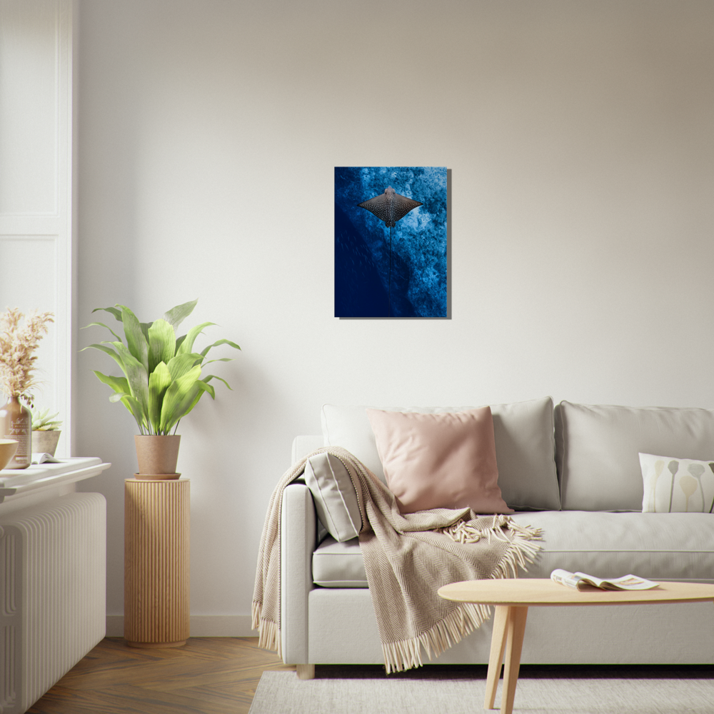 Maldives Ray Print