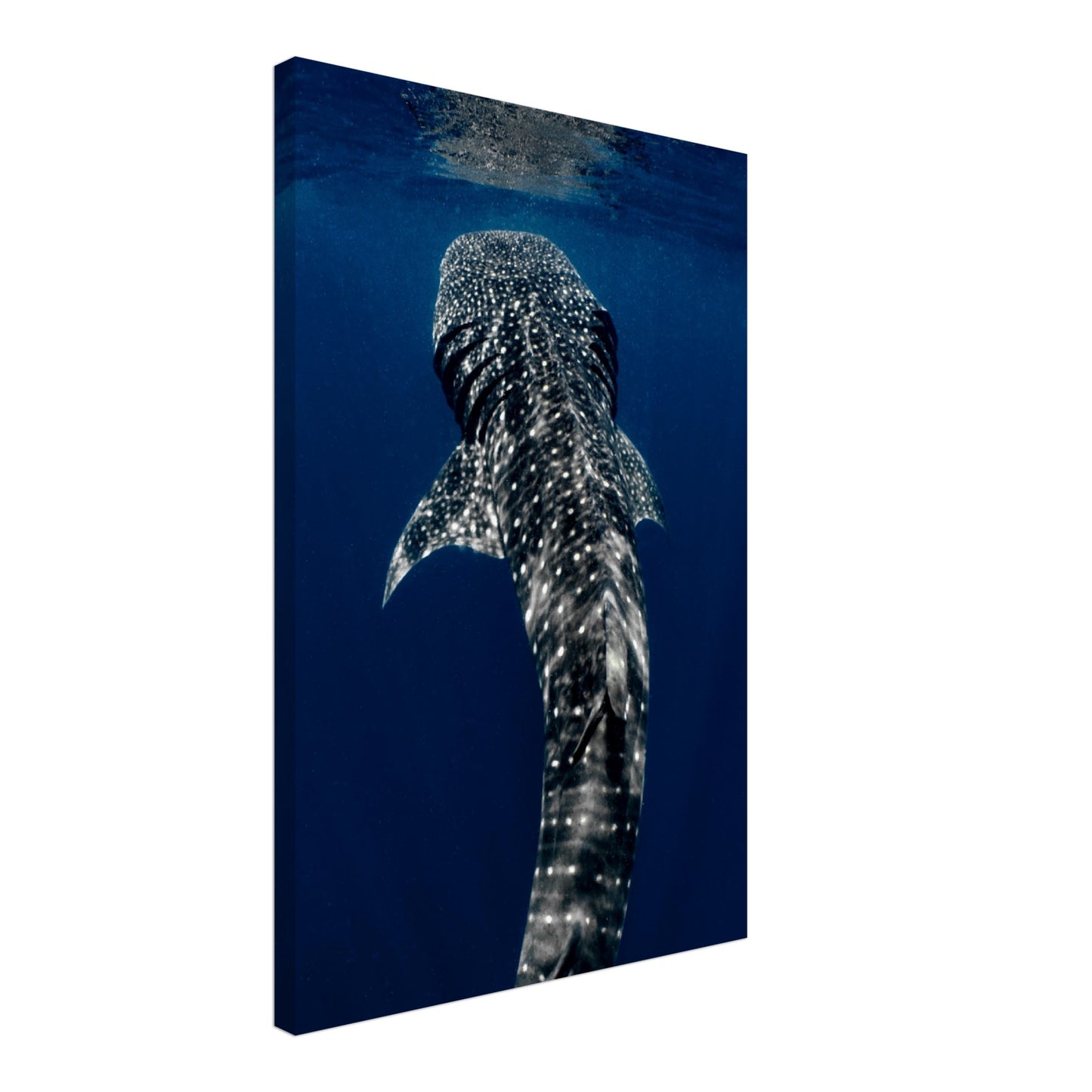 Giant of the Deep Canvas